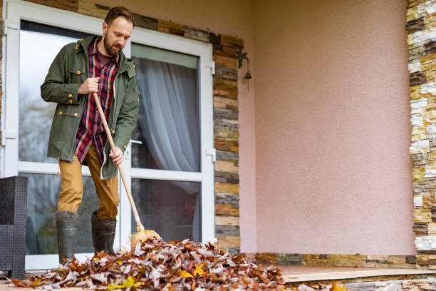 Best Yard Waste Removal  in Stevensville, MI